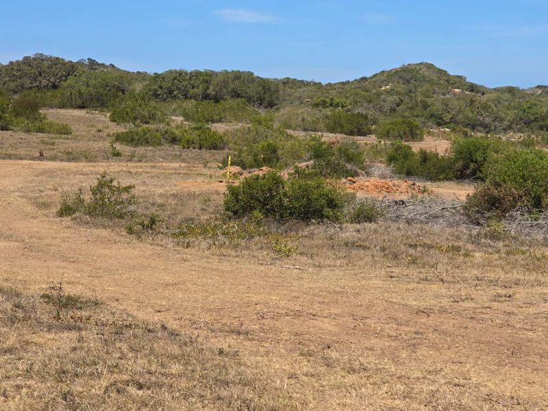 Exclusive Opportunity: Buy Directly from the Developer at Hartland Lifestyle Estate - Photo 2