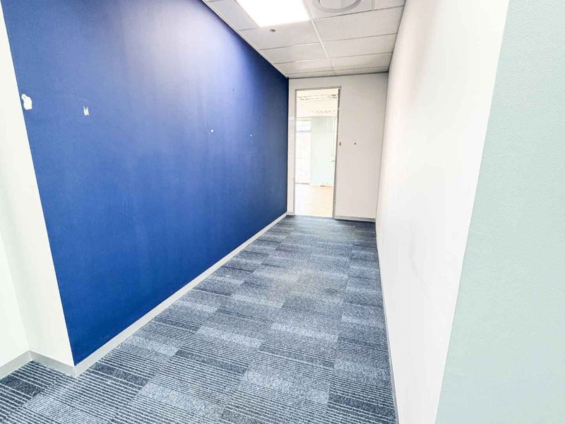 A vacant office hallway featuring blue accent wall, carpet tile flooring, and a suspended ceiling with recessed lighting.