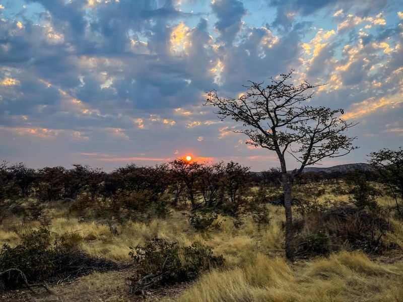 Luxury 6000ha Game Lodge & Stylish Campsite – Prime Tourism Investment! - Photo 9