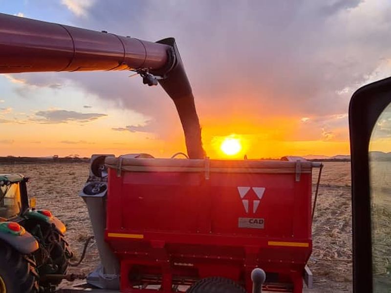 A view of agricultural machinery operating in a field during sunset on a farm property.
