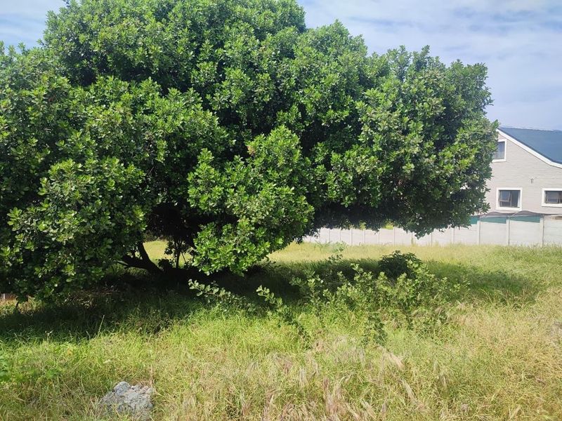 Coastal Canvas: Design Your Dream Home with Panoramic Sea Views. - Photo 4