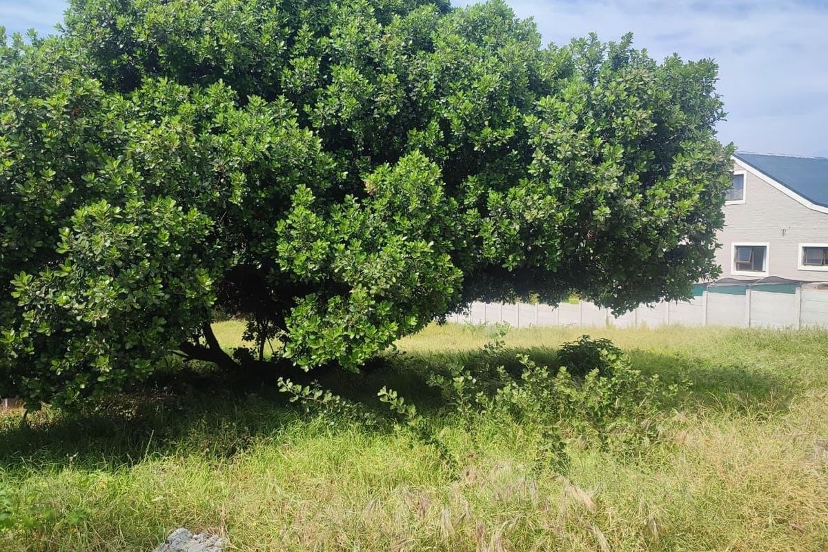 Coastal Canvas: Design Your Dream Home with Panoramic Sea Views. - Photo 4