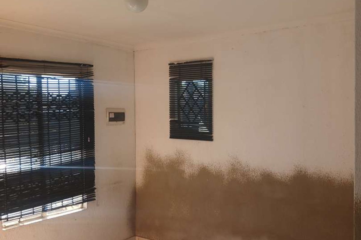 An empty room featuring tiled flooring and windows with fitted blinds, showing significant signs of moisture damage and dampness on the lower wall sections.