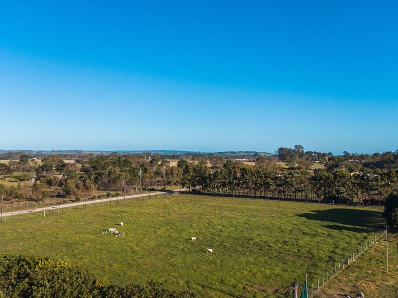 Rare Income-Generating Lifestyle Smallholding:2 Homes & Business Potential – Rendallton, Near Gqeberha - Photo 4