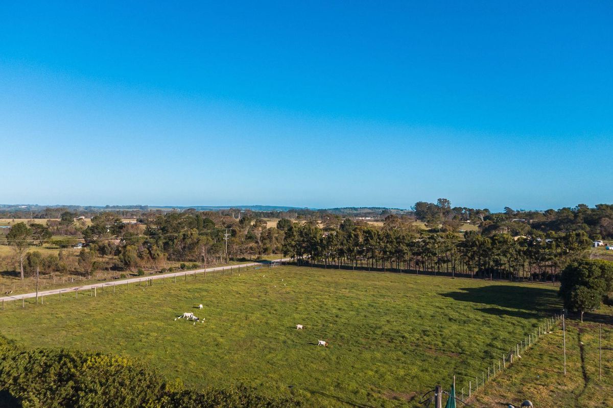 Rare Income-Generating Lifestyle Smallholding:2 Homes & Business Potential – Rendallton, Near Gqeberha - Photo 4
