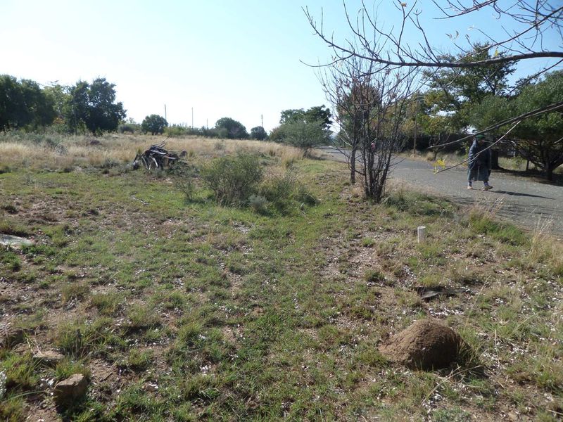 COOL THE ENGINES until you see this piece of land - Photo 4