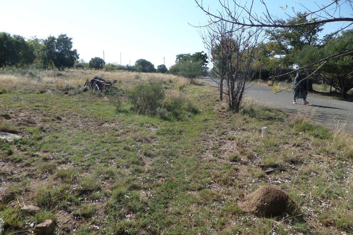 COOL THE ENGINES until you see this piece of land - Photo 4