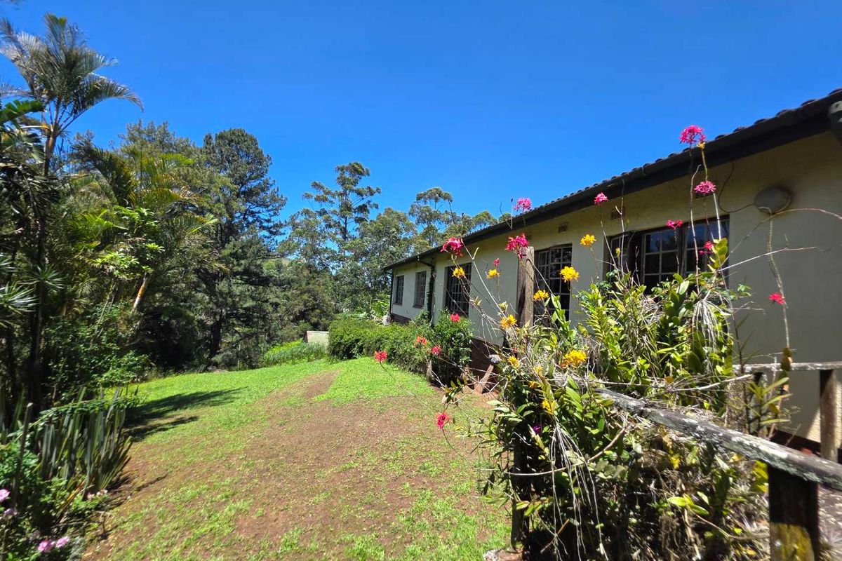 Spacious, Freestanding, and Full of Potential – See Inside! - Photo 4