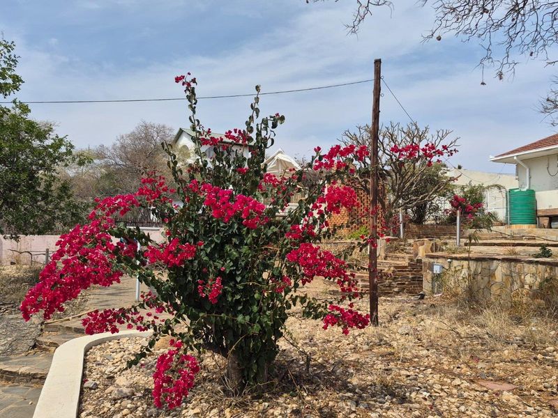 A garden area featuring a large bougainvillea, stone retaining walls, and a paved walkway leading toward the rear of the property.