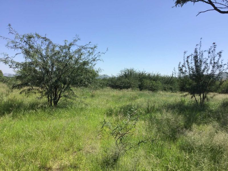 Industrial Stand For Sale - Shali Industrial Park - Photo 1
