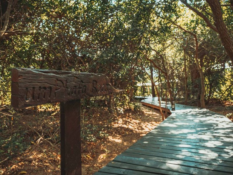 A scenic wooden boardwalk winds through a lush, shaded garden area, featuring a rustic directional signpost.
