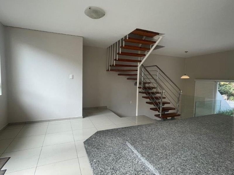 Beautifully Appointed, 3 Bedroom Garden Unit - Photo 8