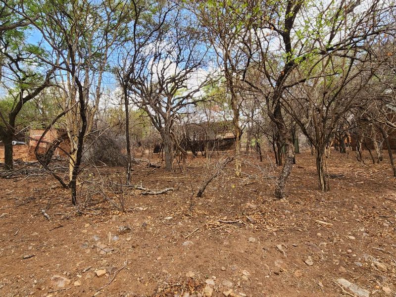 STAND IN TRANQUIL  AREA - Photo 5