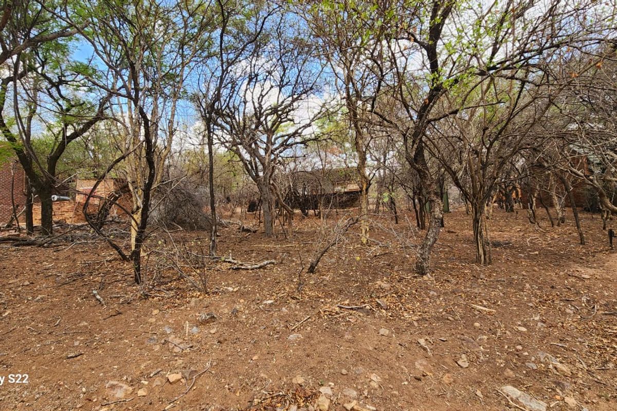 STAND IN TRANQUIL  AREA - Photo 5