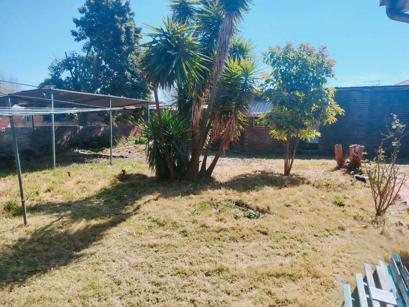 A spacious rear garden area featuring a brick boundary wall, mature trees, and a covered outdoor structure, offering potential for landscaping and improvement.