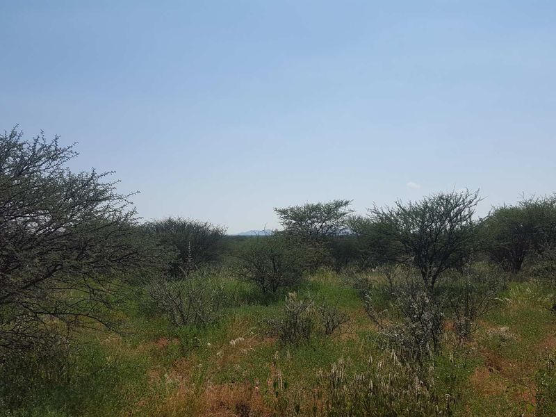 Plot for Sale Okahandja - Photo 8