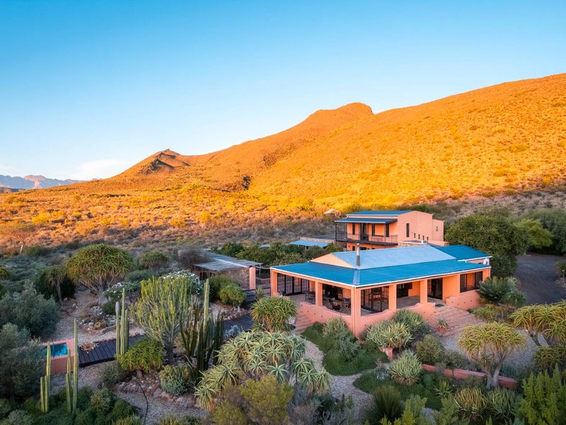 AN INVESTMENT IN PEACE, PURPOSE AND UNPARALLELED BEAUTY - ORGANIC OLIVE FARM FOR SALE - Photo 4