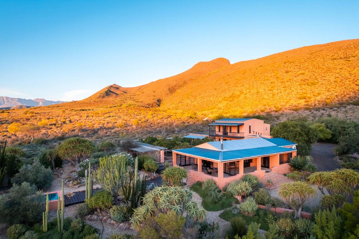 AN INVESTMENT IN PEACE, PURPOSE AND UNPARALLELED BEAUTY - ORGANIC OLIVE FARM FOR SALE - Photo 4