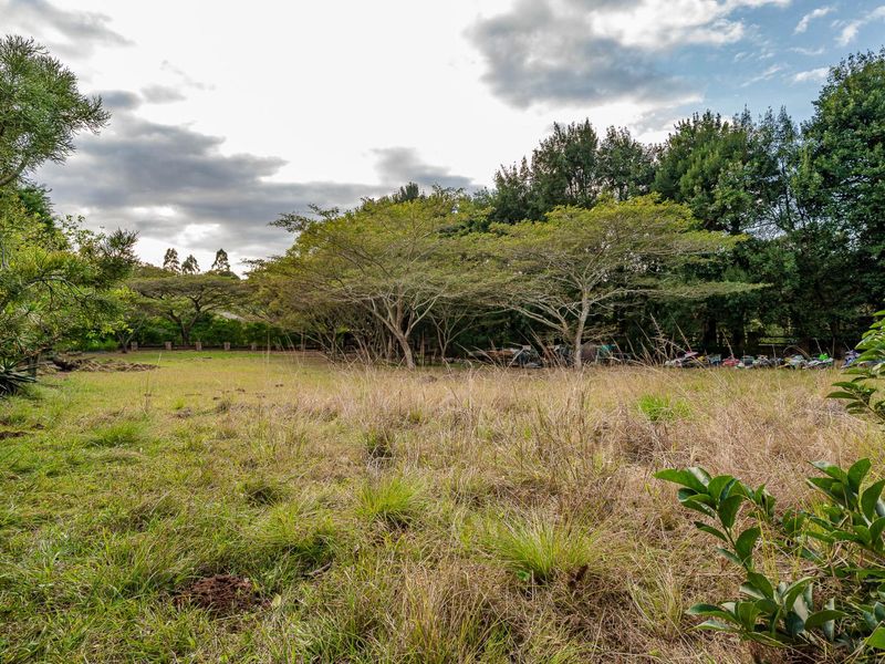 The Perfect piece of land - Photo 8