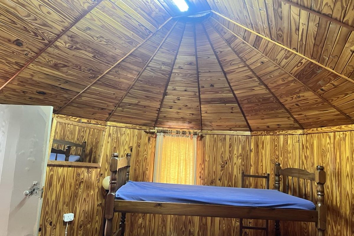 A unique bedroom featuring a vaulted timber-paneled ceiling and matching wood-paneled walls, creating a rustic cabin-style atmosphere.