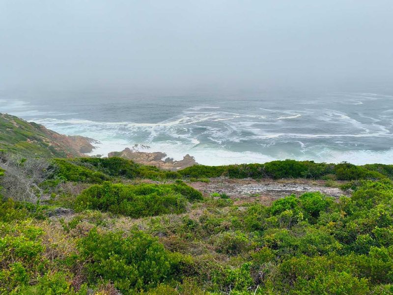 Exclusive Oppertunity - 1813m2 Vacant Land in Paradise Coast Eco Estate - Photo 2