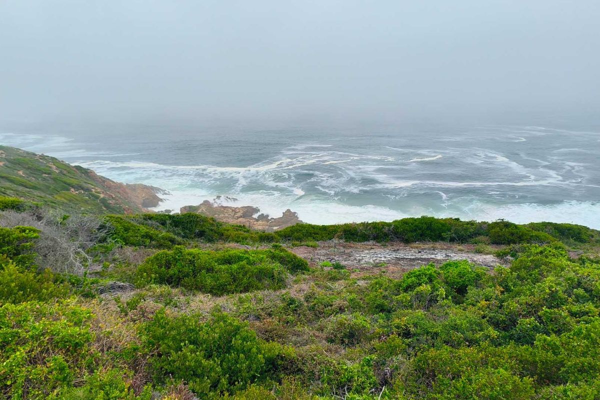 Exclusive Oppertunity - 1813m2 Vacant Land in Paradise Coast Eco Estate - Photo 2