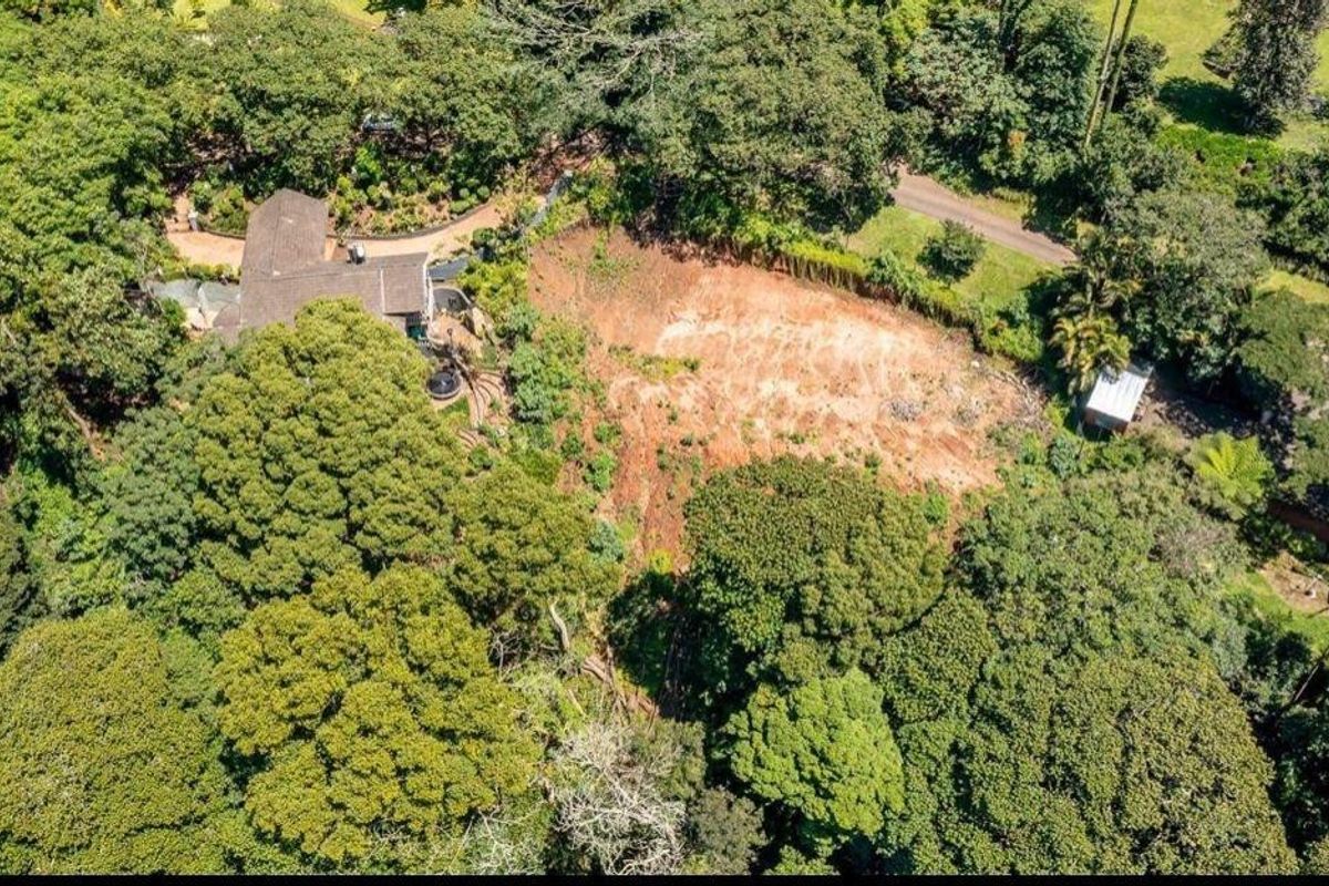 Aerial view of a residential vacant land plot surrounded by mature trees and lush vegetation, featuring a cleared building site.