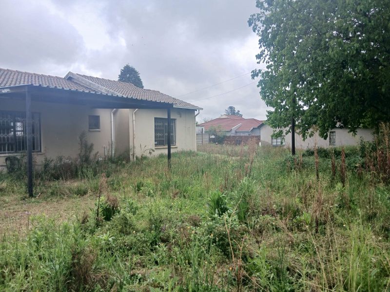 Rear view of the property featuring a covered patio and an expansive, overgrown garden area with established trees and boundary walling.