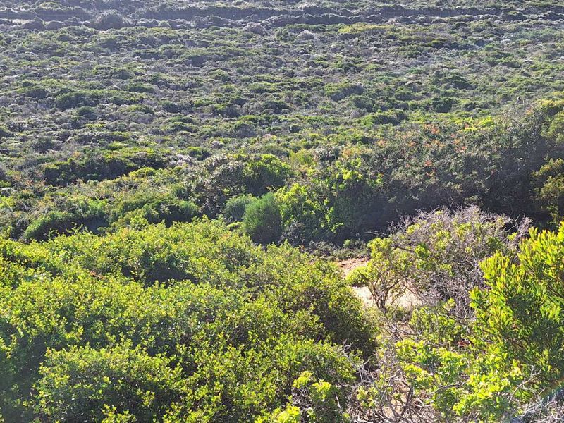 Build Your Dream Coastal Home: Vacant Lermans Village!" Land in Moquini for sale - Photo 8