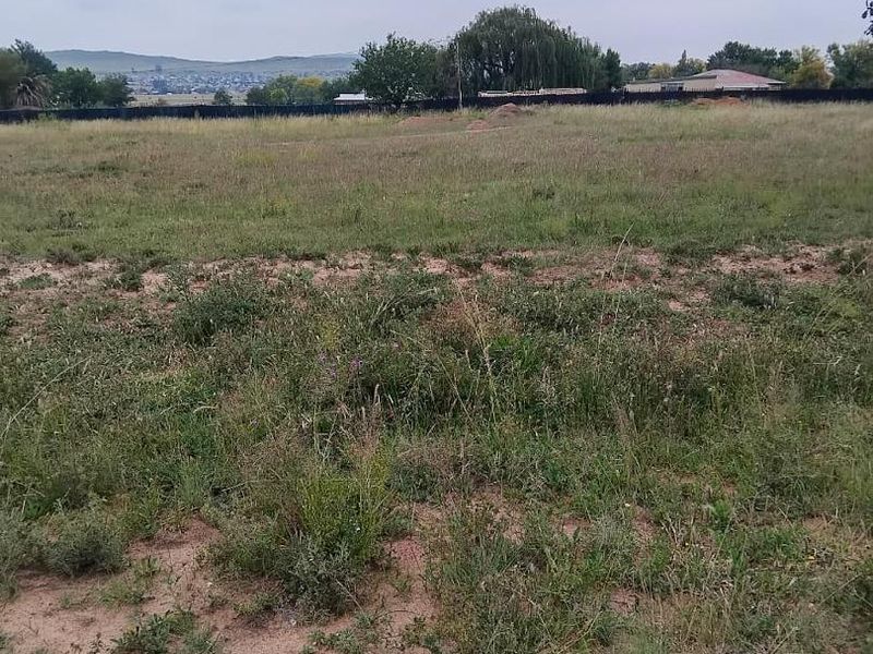 Build Your Dream Home in Scenic Paul Roux! - Photo 2