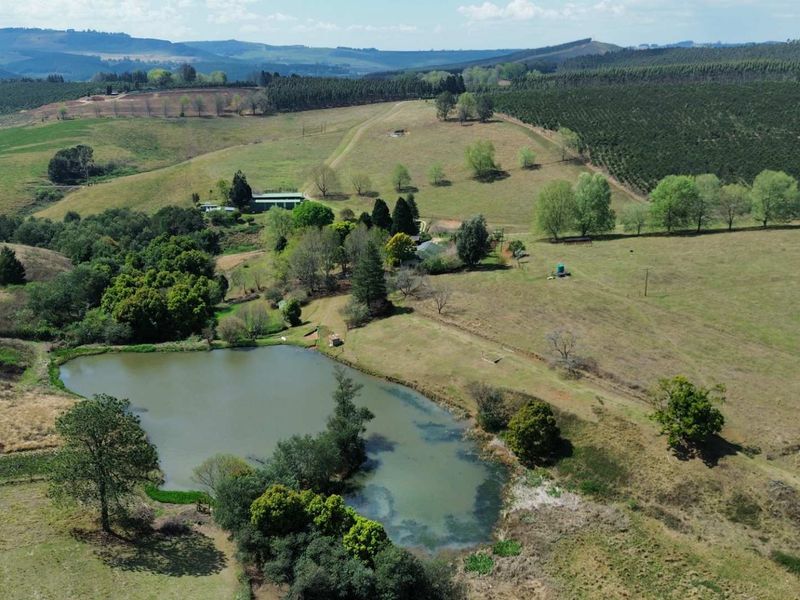 An aerial view of the farm property featuring a large dam, expansive grazing pastures, and established trees within a rolling landscape.