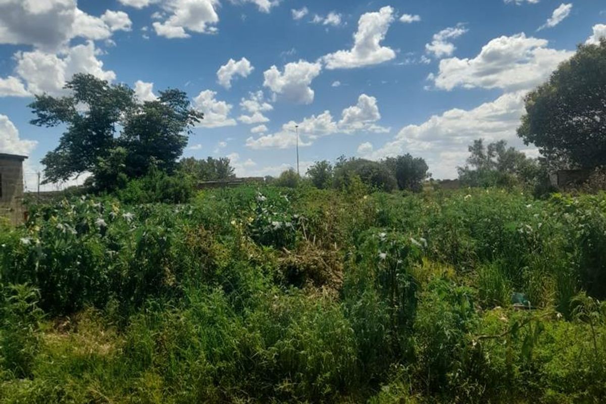 Vacant land botshabelo. - Photo 5