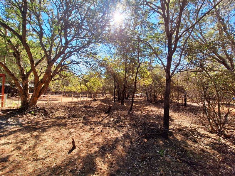 500m2 Stand in Prime Location - Photo 2