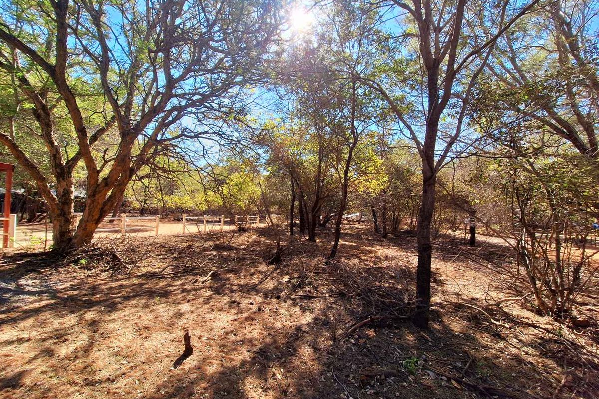 500m2 Stand in Prime Location - Photo 2