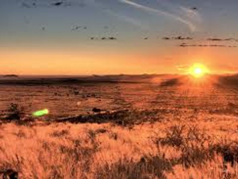 Stunning Lodge for Sale Near Sesriem/Sossusvlei. - Photo 4
