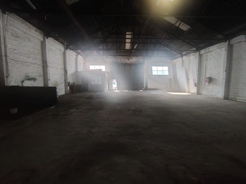 Spacious industrial warehouse featuring high ceilings with exposed steel trusses, concrete flooring, and large roller shutter access.