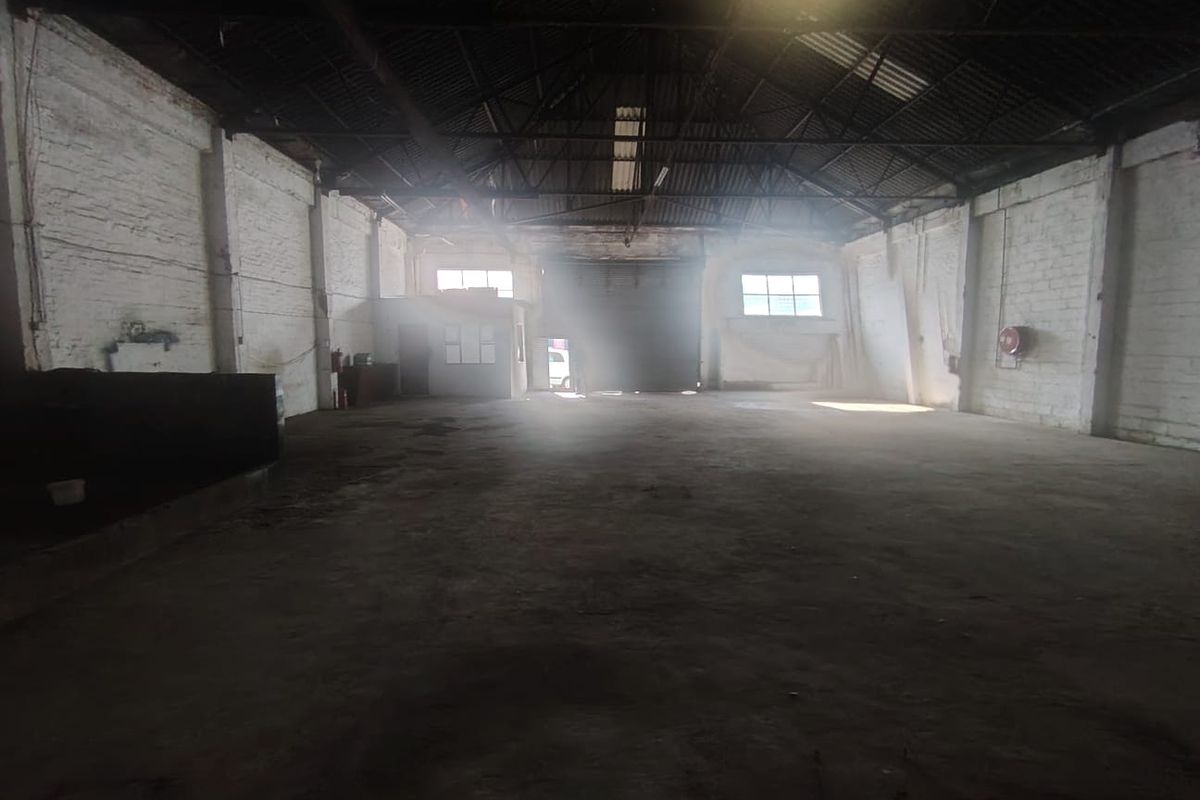 Spacious industrial warehouse featuring high ceilings with exposed steel trusses, concrete flooring, and large roller shutter access.
