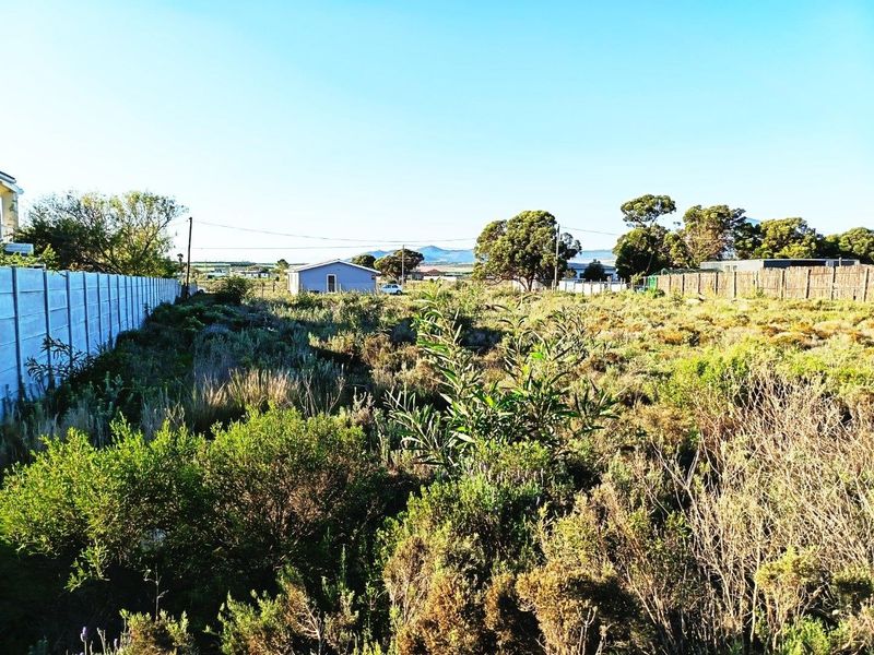 Big Skies,  Big Dreams! - Photo 8