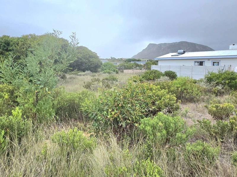 Prime 618m2 Vacant Stand for Sale in Van Dyksbaai / Kleinbaai – Fully Serviced & Level - Photo 7