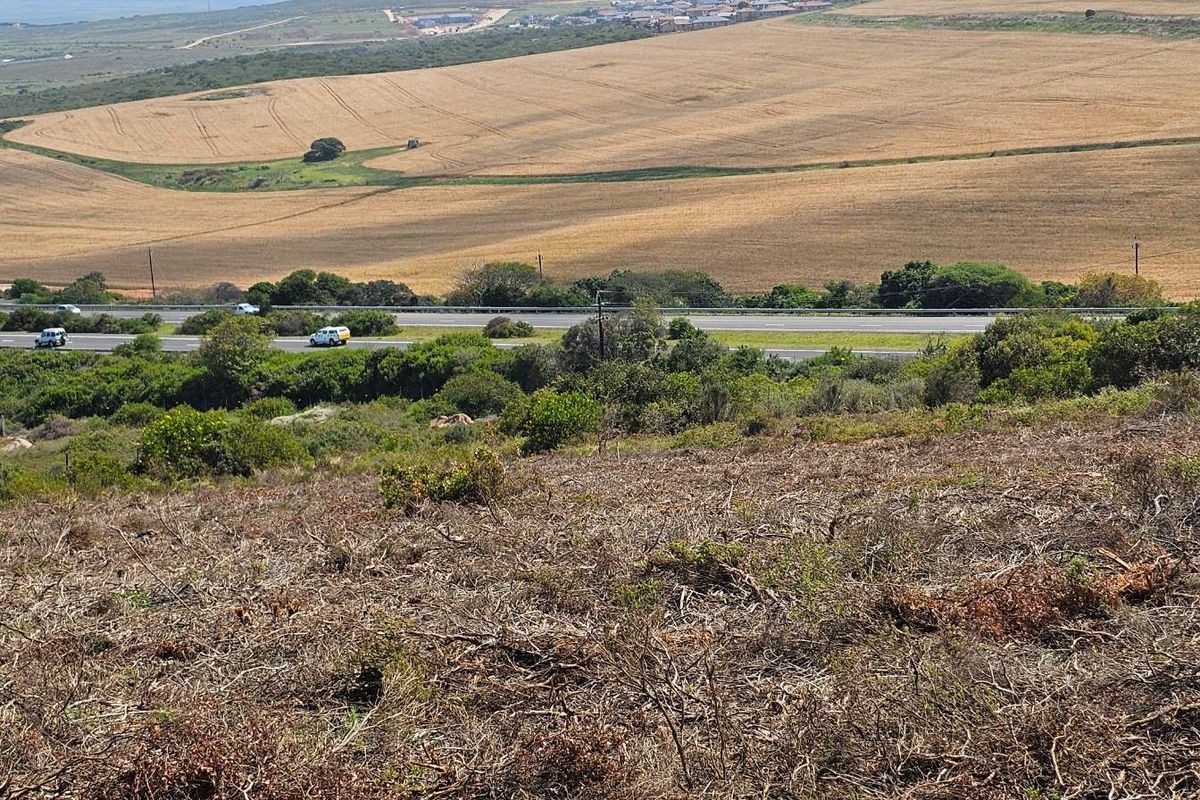 Plot & Plan options now selling in Hartland Lifestyle Estate - Photo 3