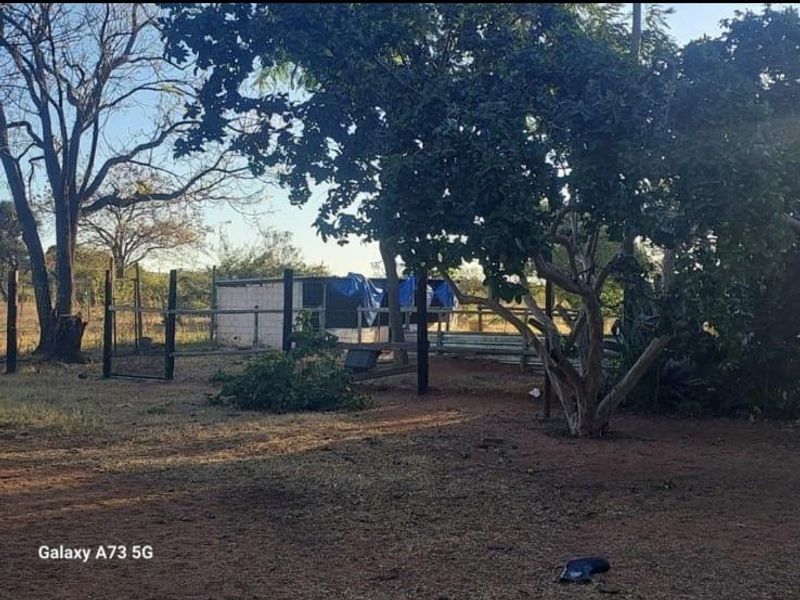 A large outdoor garden area featuring mature trees and perimeter fencing, with a small, weathered structure covered by a tarp in the background.