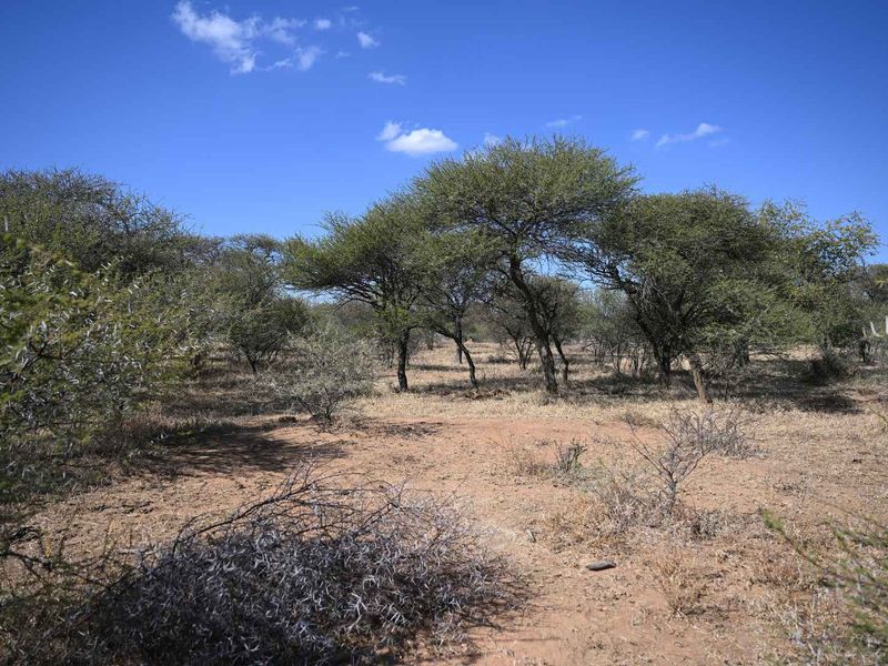 DEVELOP YOUR DREAM RETREAT IN SHONA LANGA RESORT - Photo 9