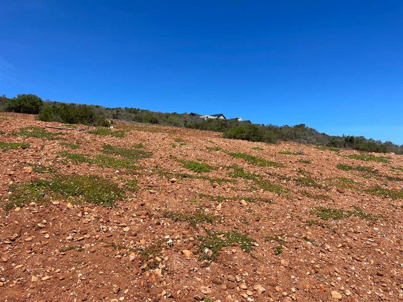 788m2 Vacant Stand For Sale in Hartland Lifestyle Estate - Exclusive Opportunity - Photo 7