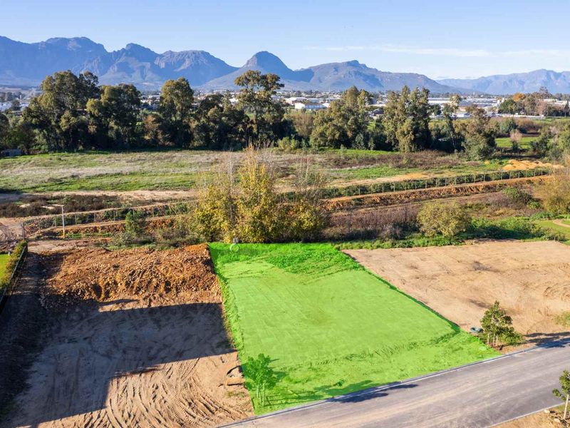 Secure the Last Nature Reserve Stand on Paarl Valleij Lifestyle Estate & Farm - Photo 2