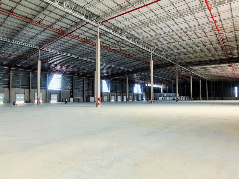 Expansive industrial warehouse space featuring high ceilings, concrete flooring, integrated fire sprinkler systems, and multiple roller shutter access points.