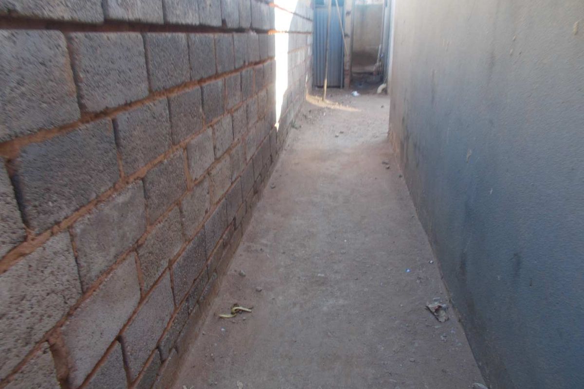 investment property up for graps - Photo 2