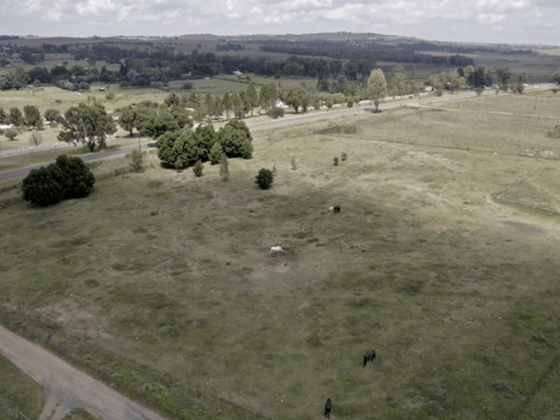 Large multi-use farm for sale in Drumblade, Walkerville - Photo 2