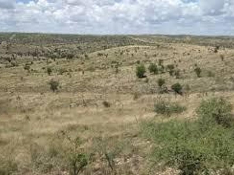 An expansive view of the natural, undeveloped landscape featuring rolling terrain and native vegetation.
