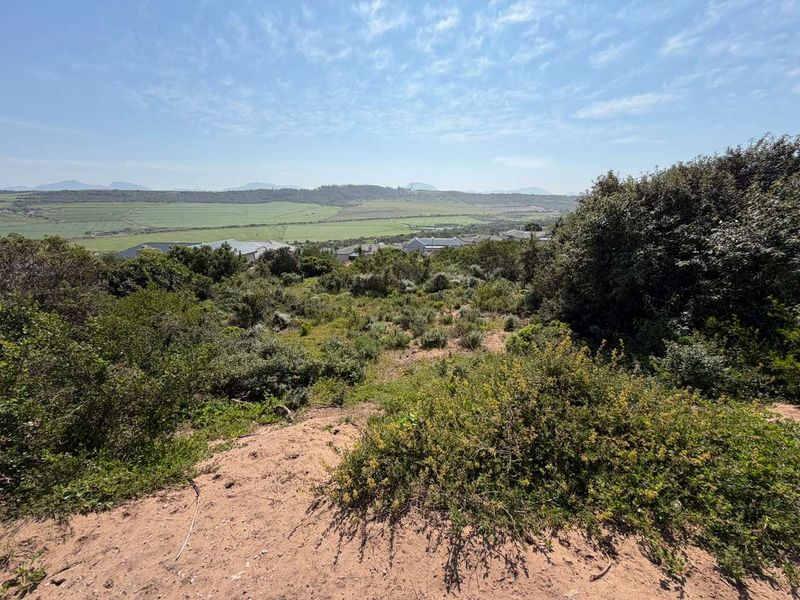 A scenic view overlooking a natural, undeveloped residential plot with native vegetation and distant rolling hills.