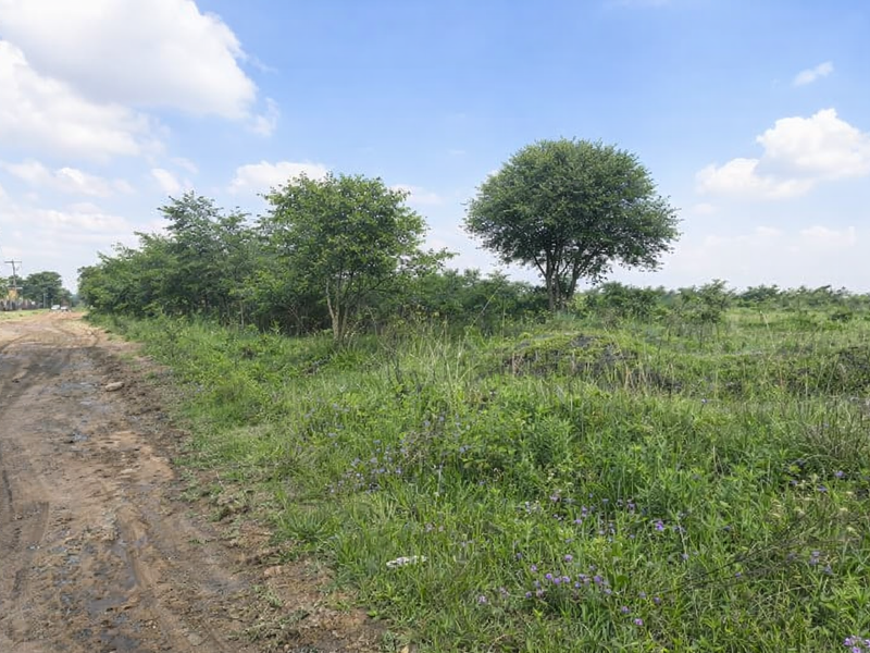 Vacant Land For Sale - Photo 3